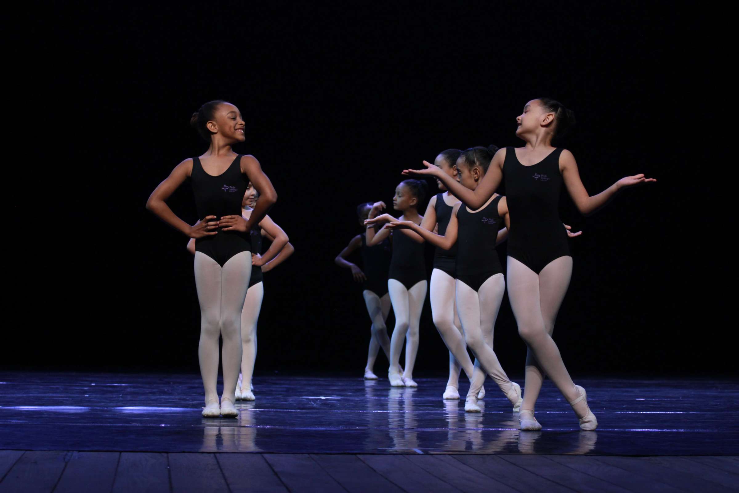 by Fernanda Torquato