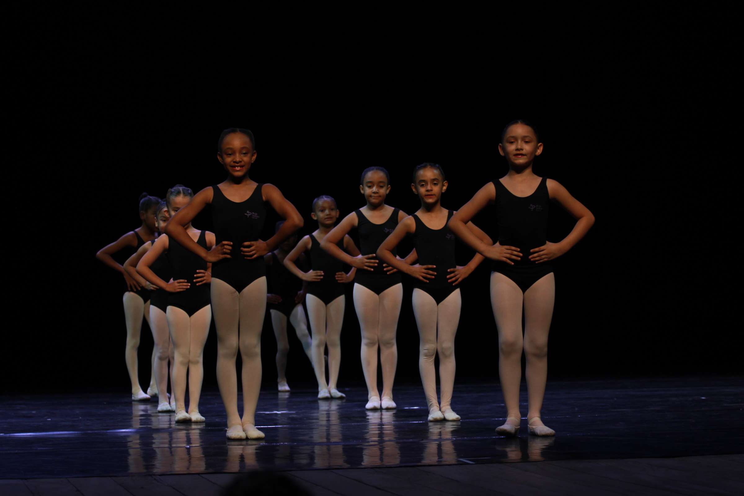 by Fernanda Torquato