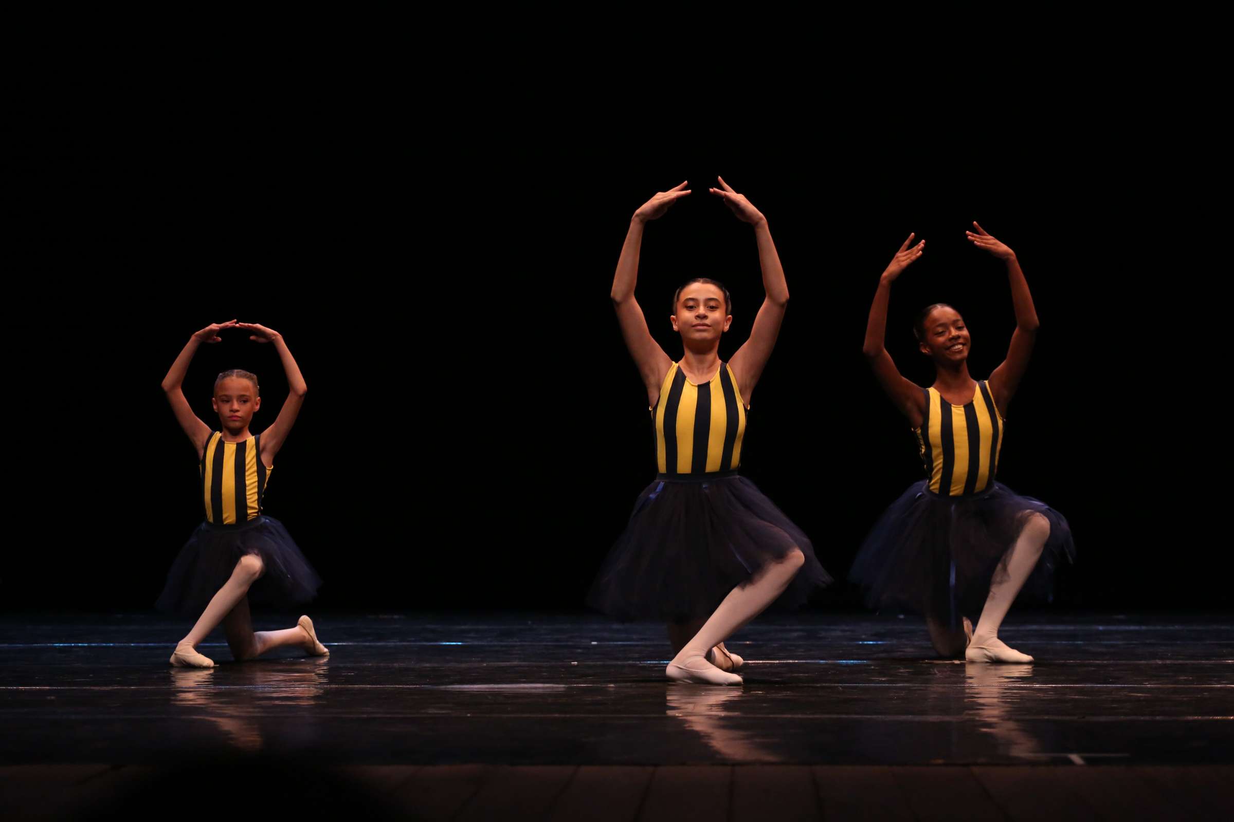 by Fernanda Torquato